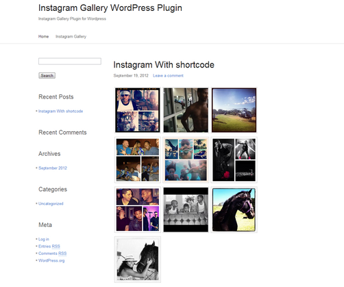 Instagram gallery, WordPress Portfolio