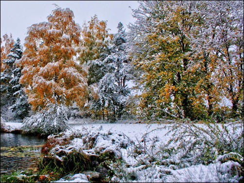 Fall winter scene