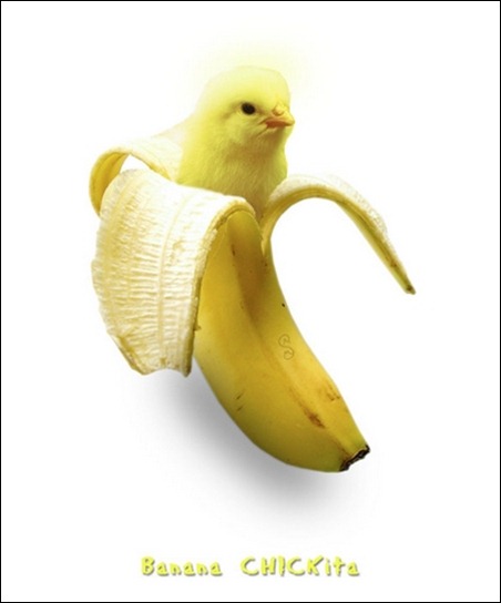 Banana-CHICKita