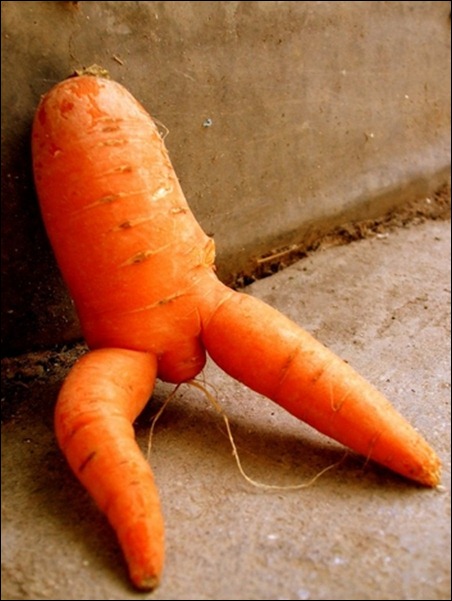 Funny-Carrot