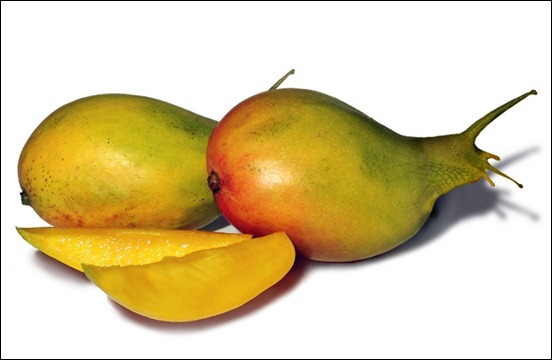 Funny-Mango