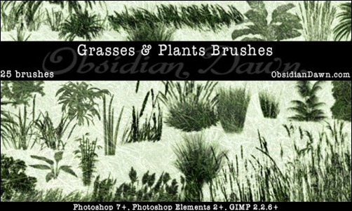Grass-And-Plants-PS-Brushes