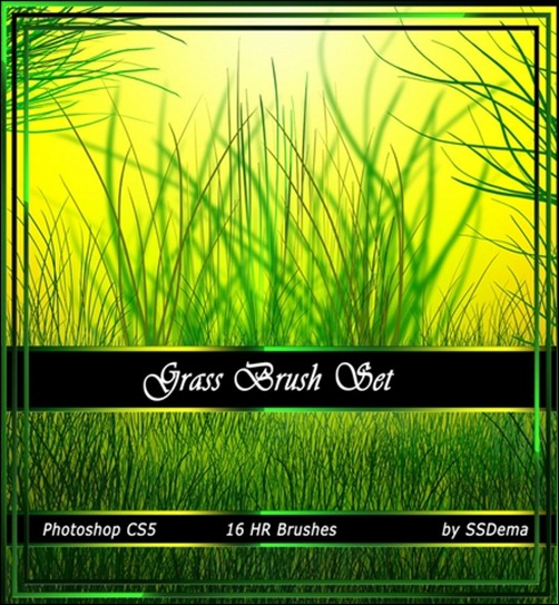 Grass-Brush-Set