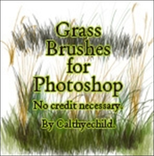 Grass-Brushes-For-Photoshop