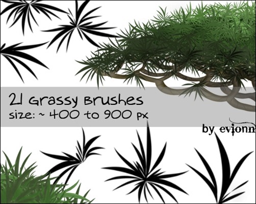 Grassy-Brushes