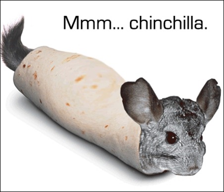 Mmm-Chinchilla