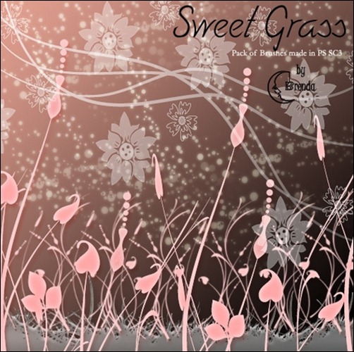 Sweet-Grass-Brushes