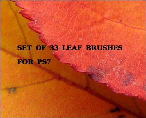 33-ps7-leaf-brushes