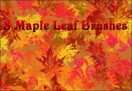 8-large-maple-leaf-brushes