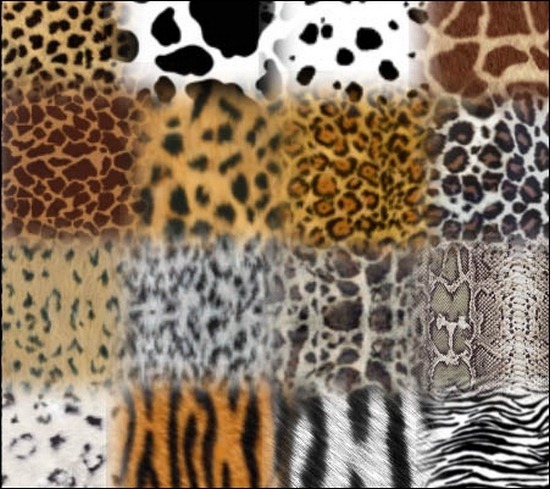 animal-prints-brushes