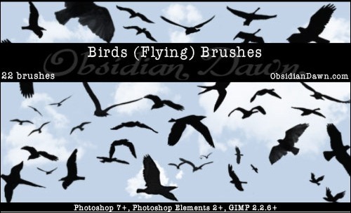 bird-flying-brushes