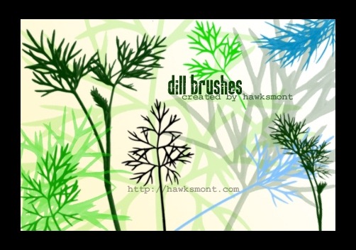 dill-brushes