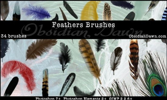 feathers-brushes