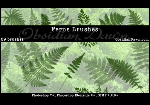 ferns-photoshop-brushes