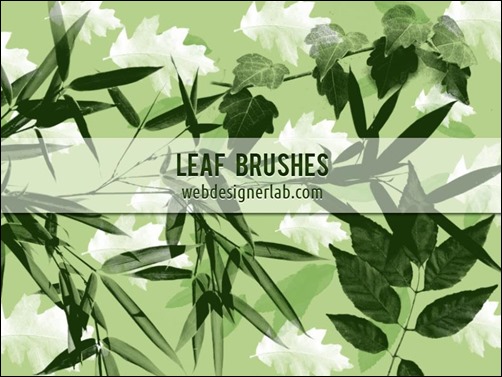 leaf-brushes