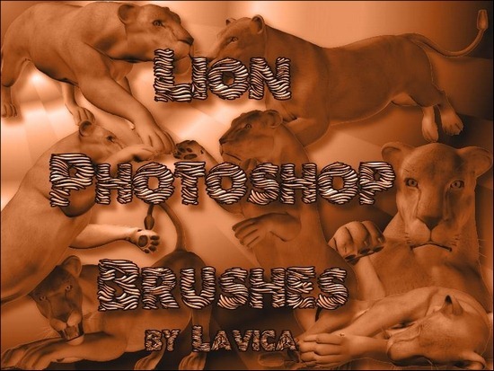 lion-brushes