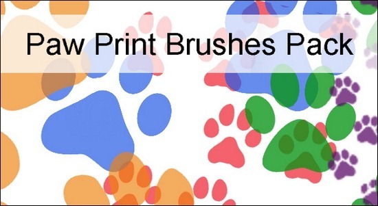 paw-print-brushes