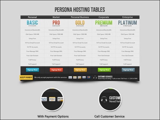 persona-pricing-web-hosting-table