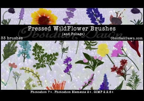 pressed-wildflower-brushes
