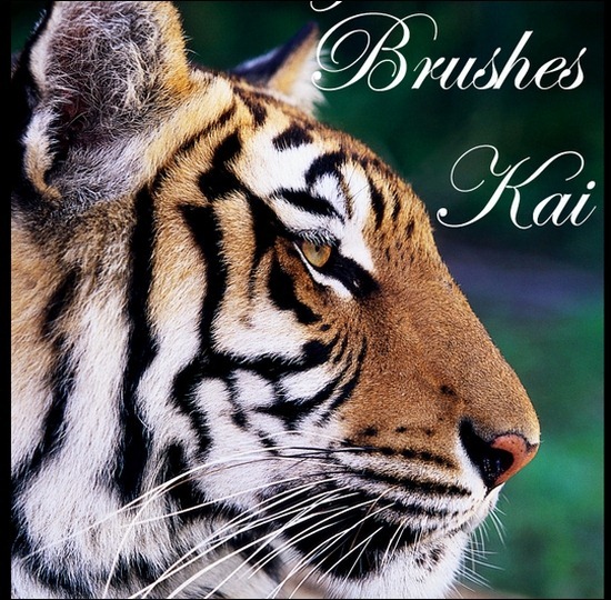 tiger-brushes