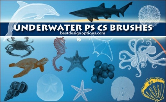 underwater-brushes