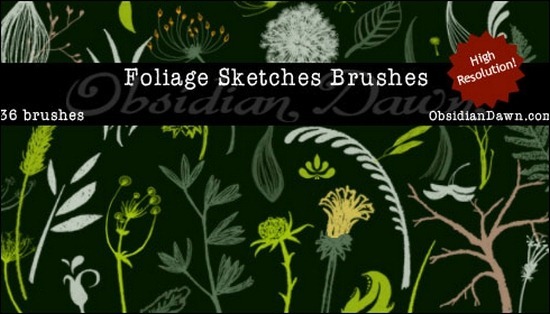 flower-sketches-brushes