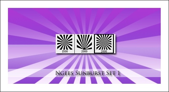 ngees-sunburst-brush-set
